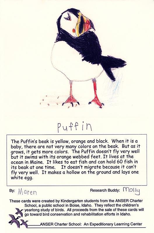 Tufted Puffin, Online Learning Center