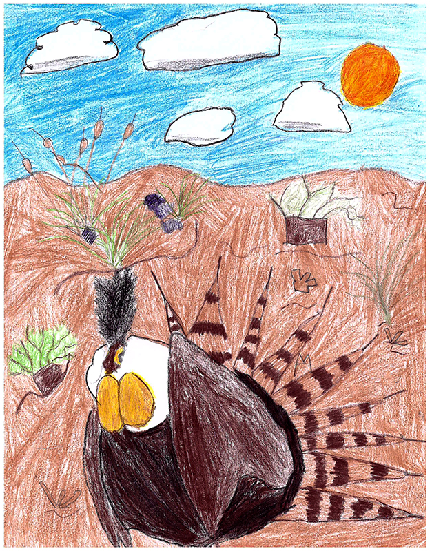 Easy Endangered Animals To Draw